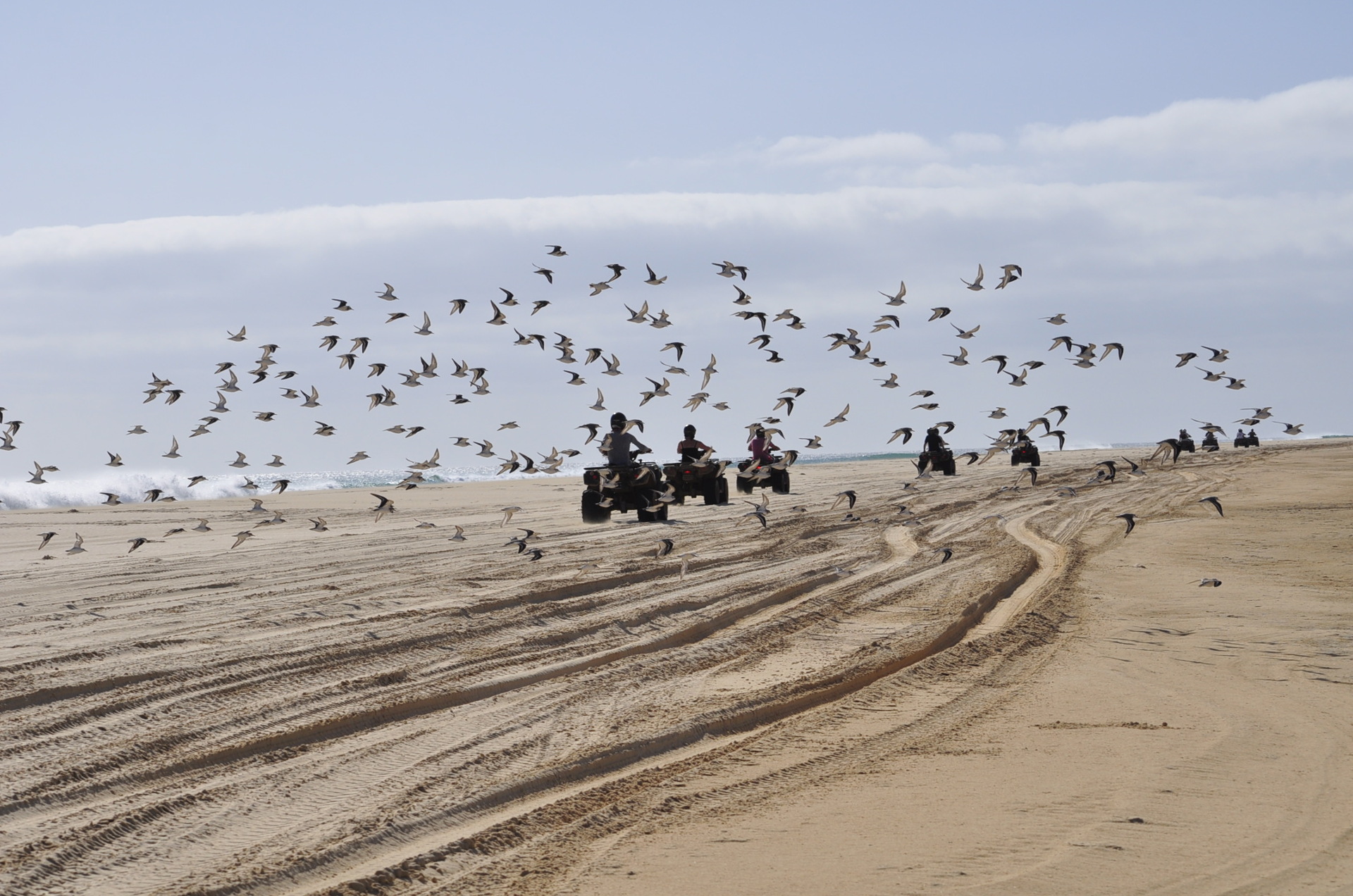 boavista quad